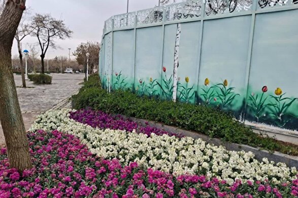 کاشت هزاران گل فصلی در شهربانو‌های مشهد در نوروز ۱۴۰۵