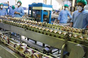 مدیرکل صمت خراسان رضوی: واردات مواد اولیه بی‌وقفه ادامه دارد | مرزهای شرقی پشتیبان تامین نیازهای اساسی کشور هستند