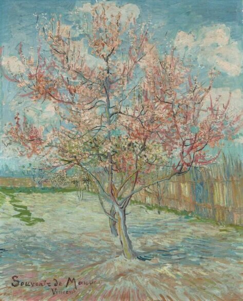 ستایش بهار از نگاه ونگوگ