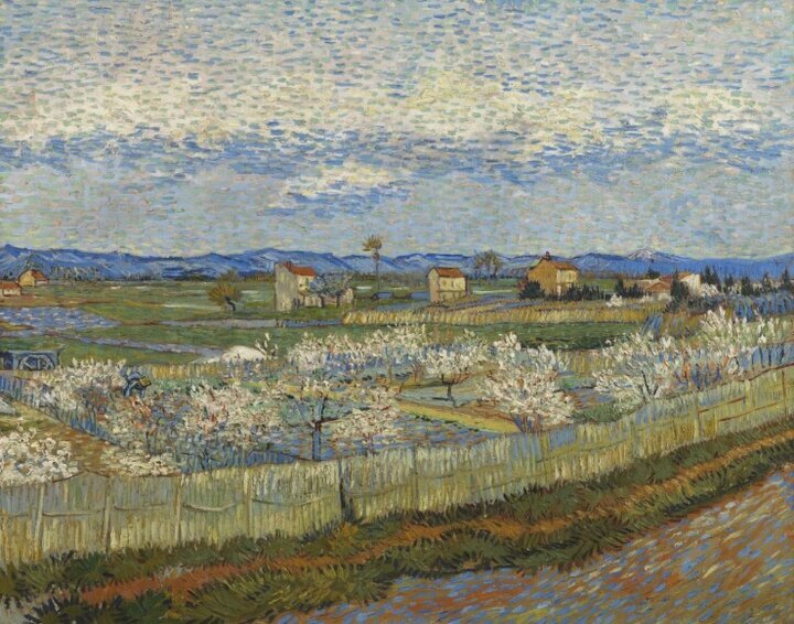 ستایش بهار از نگاه ونگوگ