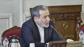 عراقچی: بی‌تفاوتی و سکوت در برابر بی‌عدالتی‌ها امنیت و صلح به همراه نخواهد آورد + ویدیو