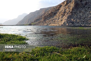 ایران زیباست | طبیعت بهاری تالاب «هشیلان» - کرمانشاه