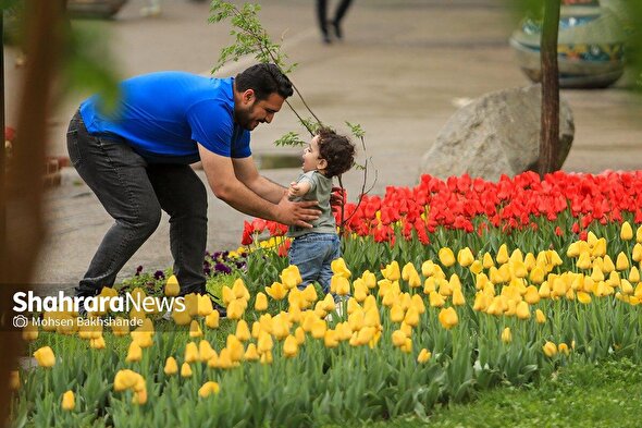 پیش‌بینی هواشناسی مشهد و خراسان رضوی، امروز (یکشنبه، ۱۳ اردیبهشت ۱۴۰۵) | تداوم گرما در سطح استان تا پایان هفته