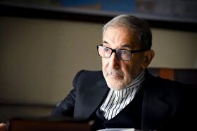 ولایتی: ترامپ از وضعیت اقتصادی و سیاسی جهان آگاهی ندارد