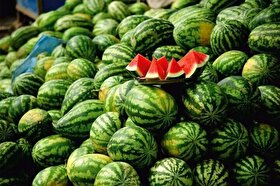 قیمت امروز میوه و تره بار در مشهد (شنبه ۱۹ اردیبهشت ۱۴۰۵) | افزایش قیمت هندوانه