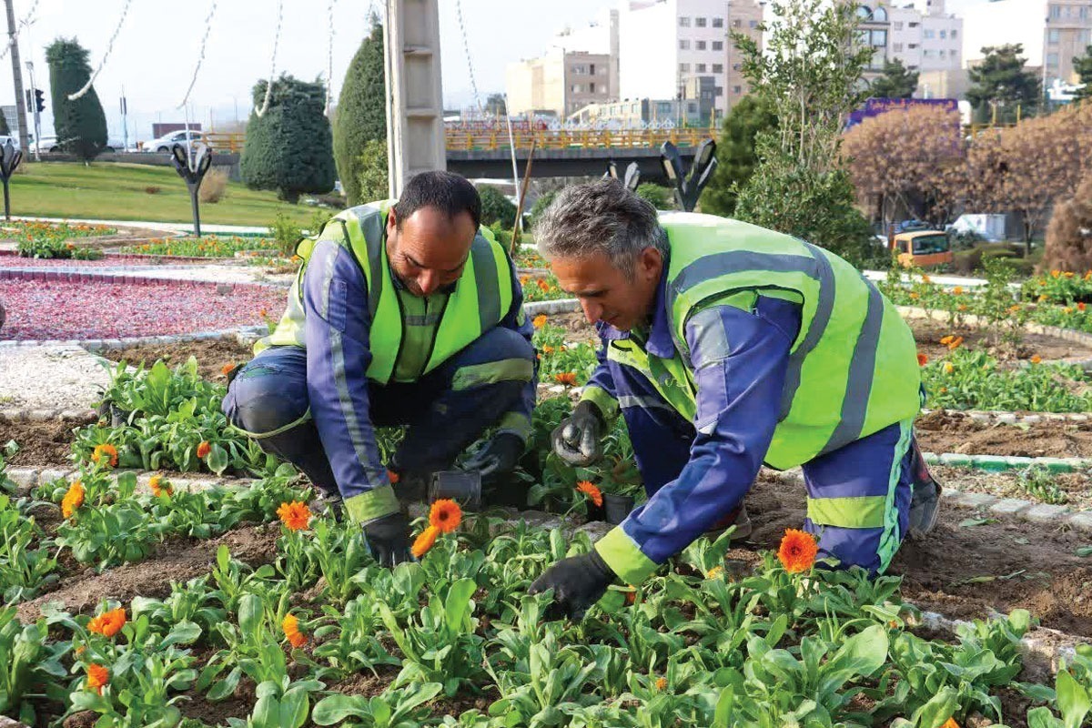 توسعه کشاورزی شهری در ۴ نقطه دیگر مشهد | شهروندان در بوستان‌های برکت و نیلوفر آبی مشغول کشاورزی هستند
