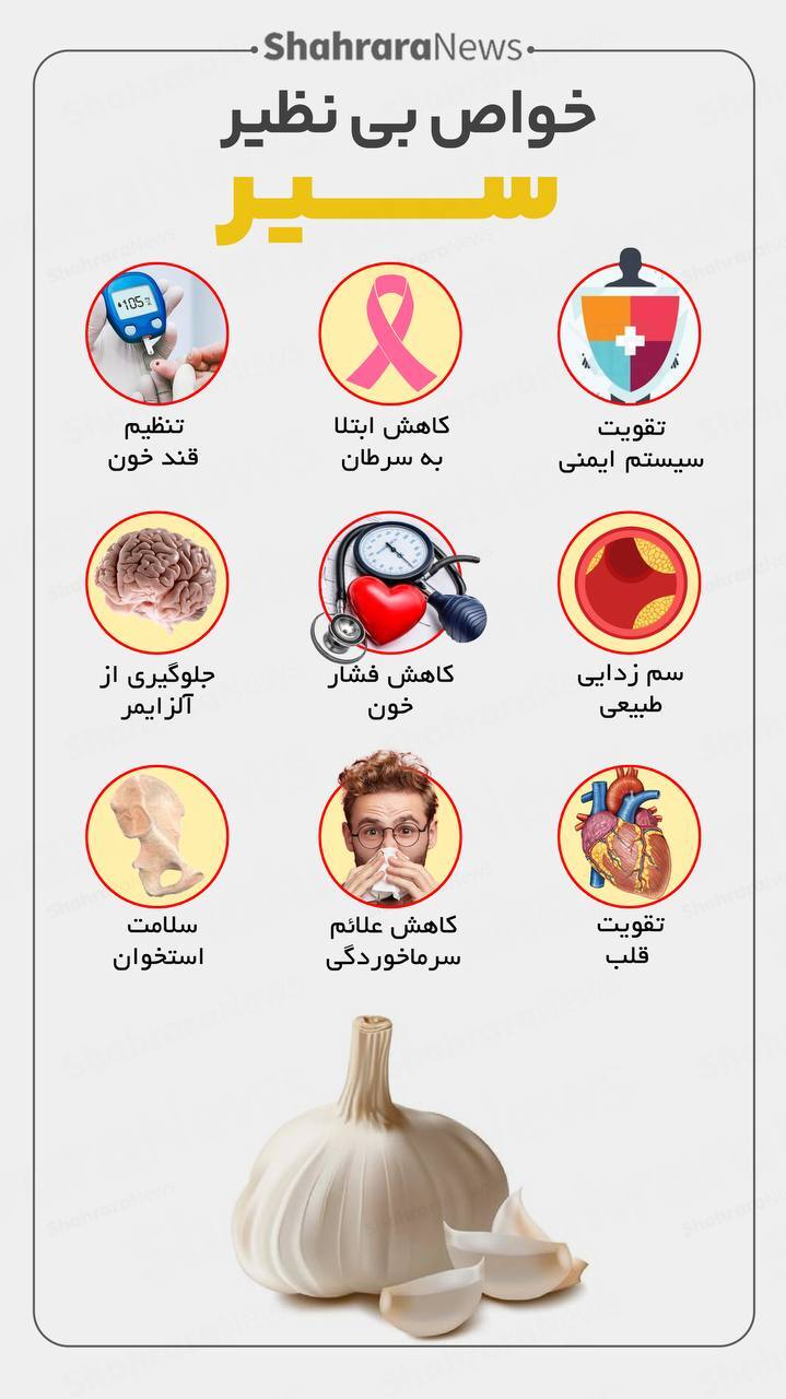اینفوگرافی| خواص بی‌نظیر سیر