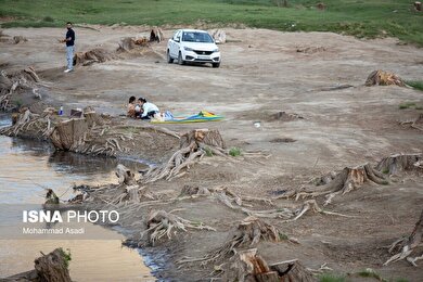 گزارش تصویری | قطع گسترده درختان روستای «اسکان» - شازند