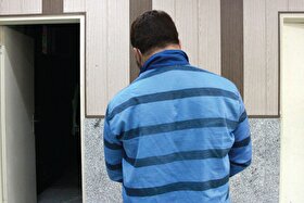 اعتراف مجرم سابقه‌دار به ۷۰ فقره سرقت جدید