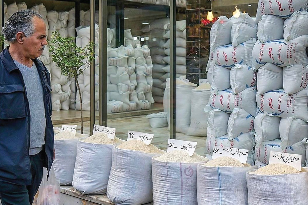 بررسی قیمت امروز برنج ایرانی، پاکستانی و هندی (۲۲ اردیبهشت ۱۴۰۵)