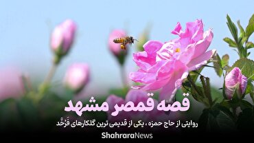 ویدئو | روایتی از حاج حمزه، یکی از قدیمی‌ترین گلکارهای فرخّد | قصه قمصر مشهد