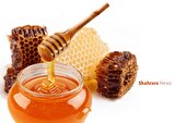 دانستنی‌های کودکانه | «کنجد» و «عسل»