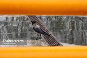 پیش‌بینی هواشناسی کشور، امروز (جمعه، ۴ اردیبهشت ۱۴۰۵) | ورود سامانه بارشی طی روز یکشنبه