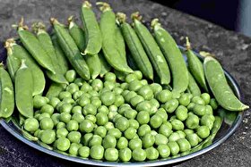 قیمت امروز میوه و تره بار در مشهد (۶ اردیبهشت ۱۴۰۵) | نخود سبز و باقلا کیلویی چند؟