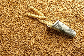 ارز واردات گندم دوباره ۲۸۵۰۰ تومان تعیین شد | سایر کالا‌ها ۱۲۳ هزار تومان