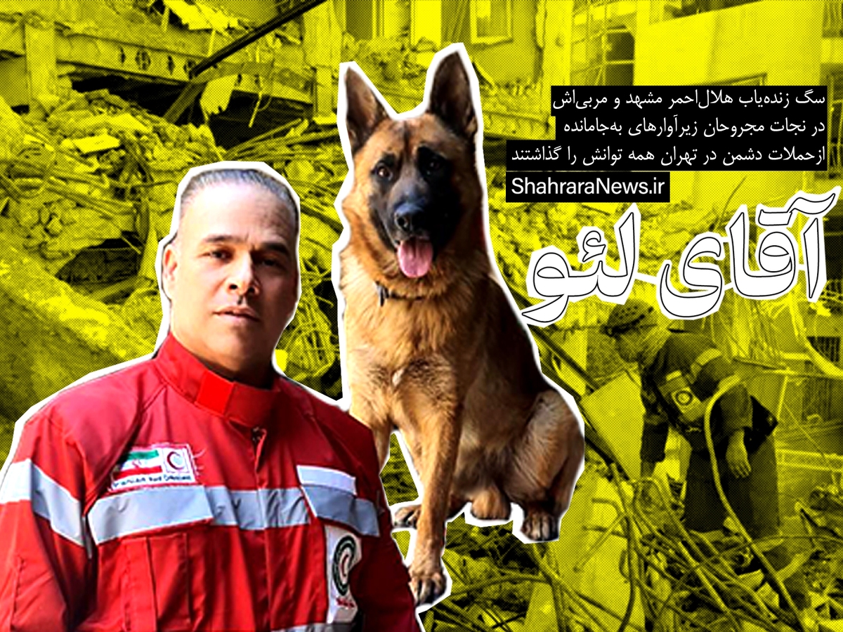 ویدئو | آقای لئو؛ سگ زنده یاب هلال احمر مشهد، ده‌ها نفر را از زیر آوار حمله دشمن به تهران پیدا کرد