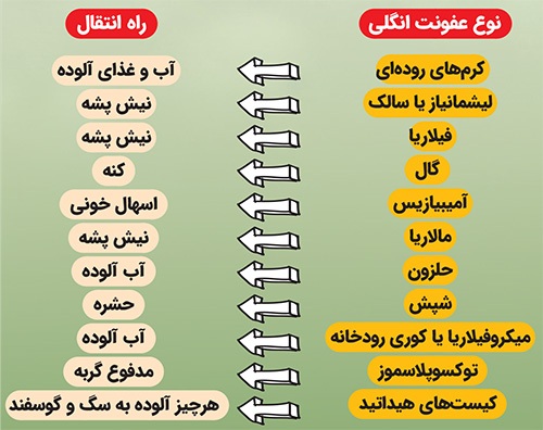 با گرم‌ شدن هوا مراقب ابتلابه بیماری‌های انگلی شایع باشید | دردسرهای یک میهمان ناخوانده
