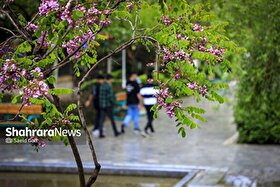 پیش‌بینی هواشناسی مشهد و خراسان رضوی، امروز (سه‌شنبه، ۸ اردیبهشت ۱۴۰۵) | کاهش دمای روزانه در پایان هفته