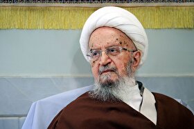 آیت‌الله مکارم شیرازی: مهار گرانی در اولویت دولت قرار گیرد