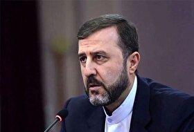 غریب‌آبادی: شورای حکام نباید محل سفیدشویی تجاوز نظامی شود