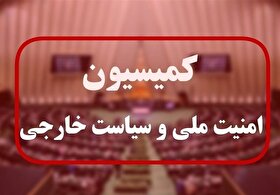 رضایی: نیروهای مسلح ما در اوج امادگی رزمی و دفاعی هستند