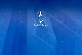قوه قضائیه از صدور بیش از ۷۰ هزار شناسه ثنا برای اتباع خارجی خبرداد