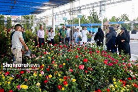 نمایشگاه گل وگیاه مشهد ۱۴۰۵ | گل برای بازدیدکنندگان ارزان و برای تولیدکنندگان گران است