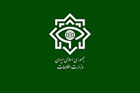 هشدار وزارت اطلاعات: دشمن شکست‌خورده در میدان نبرد، حالا روی ۷ نقطه تمرکز کرده است