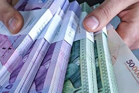 کشف بیش از ۶۰ میلیارد ارز قاچاق با هوشیاری مرزبانان هنگ تایباد  