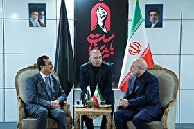 دیدار و رایزنی روسای مجالس ایران و پاکستان در حاشیه ویژه برنامه های مراسم تشییع رهبر شهید در تهران