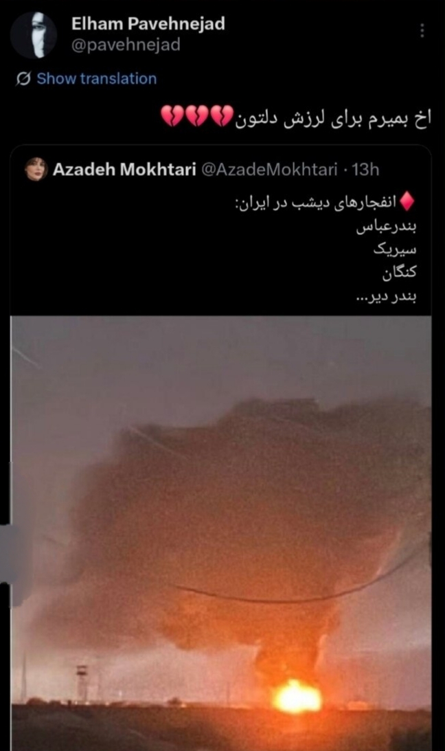 واکنش «الهام پاوه‌نژاد» به حملات دشمن به شهرهای جنوب کشور + عکس