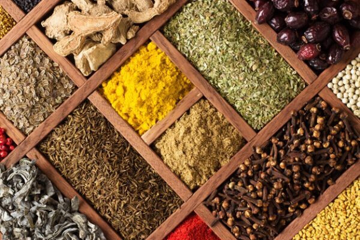 خانه‌داری| نگهداری اصولی مواد غذایی، سلامت دستگاه گوارش را تضمین می‌کند