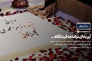 ویدئو| مزار شهید زهرا محمدی گلپایگانی در حرم رضوی، میزبان دختران خردسال شد