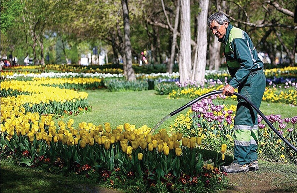 «خدمات شهری»، پاسخگوترین معاونت شهرداری مشهد در سال ۱۴۰۴ با ثبت پاسخگویی ۹۸‌ درصدی در سامانه‌ ۱۳۷