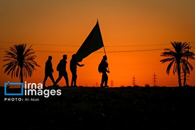 گزارش تصویری | پیاده روی در مسیر نخلستان‌های عراق