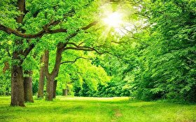 چرا تابستان فصل محبوب میکروب‌هاست؟