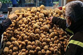 نوسان قیمت صیفی‌جات در بازار مشهد | سیب‌زمینی و پیاز در صدر لیست کالا‌های پرمصرف (۱۵ مرداد ۱۴۰۵)