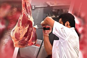 متهم اصلی گرانی گوشت معرفی شد