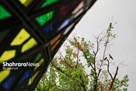 پیش‌بینی هواشناسی مشهد و خراسان رضوی امروز (دوشنبه، ۲۶ مرداد ۱۴۰۵) | کاهش دما از جمعه