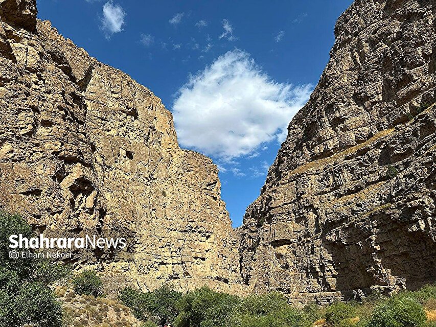 گزارش تصویری | طبیعت تابستانی دره شمخال