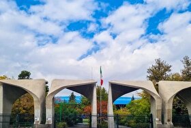 رئیس دانشگاه تهران: کاهش حضور مردان در دانشگاه‌ها می‌تواند در آینده مشکل‌ساز شود