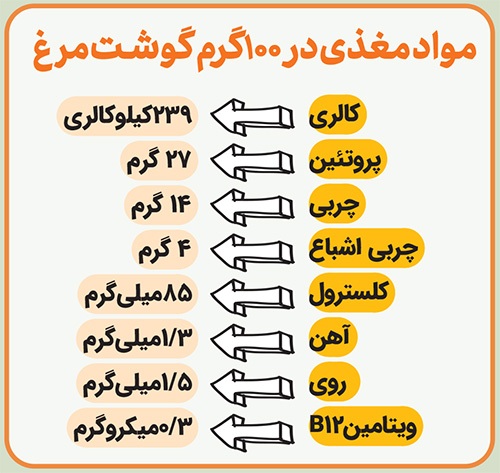 درباره اهمیت مصرف گوشت مرغ | راز محبوبیت مرغ