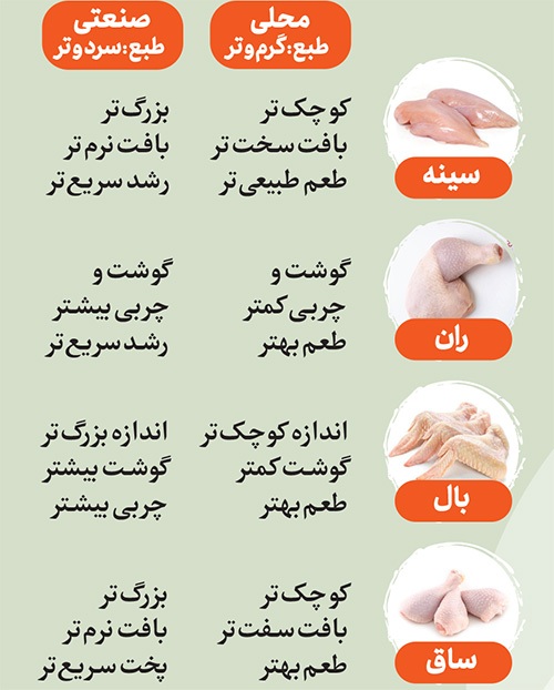 درباره اهمیت مصرف گوشت مرغ | راز محبوبیت مرغ