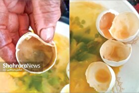 فاسد بودن تخم‌مرغ‌های یک فروشگاه‌ زنجیره‌ای در مشهد صدای شهروندان را درآورد | سودجویی از سفره مردم!