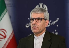 بقائی: قطعنامه آژانس، غیرقابل قبول و تصمیمی کاملاً سیاسی است