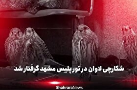 از تله‌های دست‌ساز تا پرندگان میلیاردی | پایان کار شکارچی حرفه‌ای در مشهد + فیلم