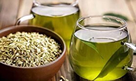 کاهش علائم اندوه پس از زایمان با مصرف خوراکی رازیانه
