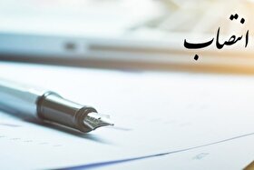 انتصاب معاون مالی و پشتیبانی شهرداری مشهد (۲۵ شهریور ۱۴۰۵)
