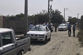 شناسایی حدود ۸۰ قطعه متخلف در گشت مشترک صیانت از حریم مشهد