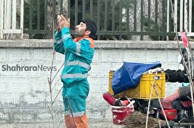 از تاکسی اینترنتی تا «نماز خیابانی» | وقتی خجالت مانع نماز خواندن نیست